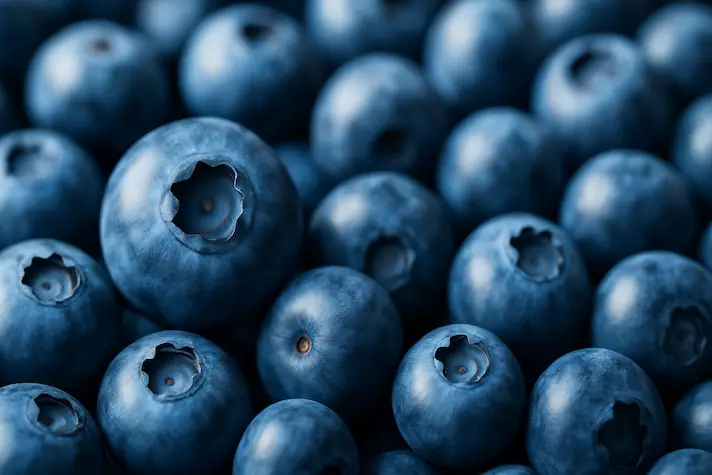 Arándanos: Las Perlas Azules Ricas en Antocianinas y Neuroprotectores